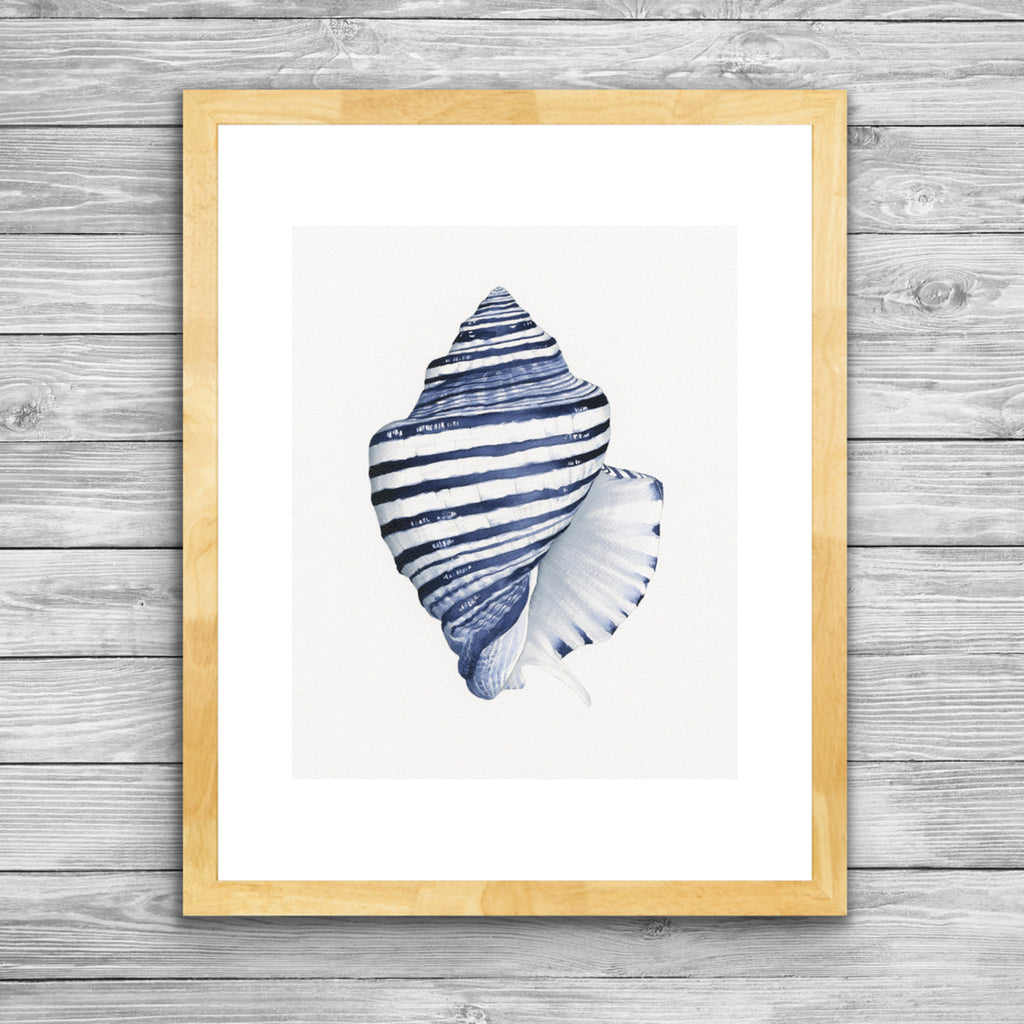 Conch Shell Print