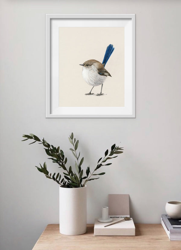 Fairy Wren Print