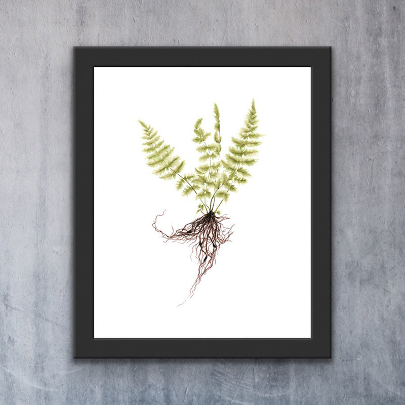 Fern Print