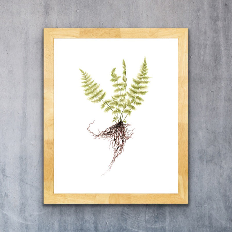 Fern Print