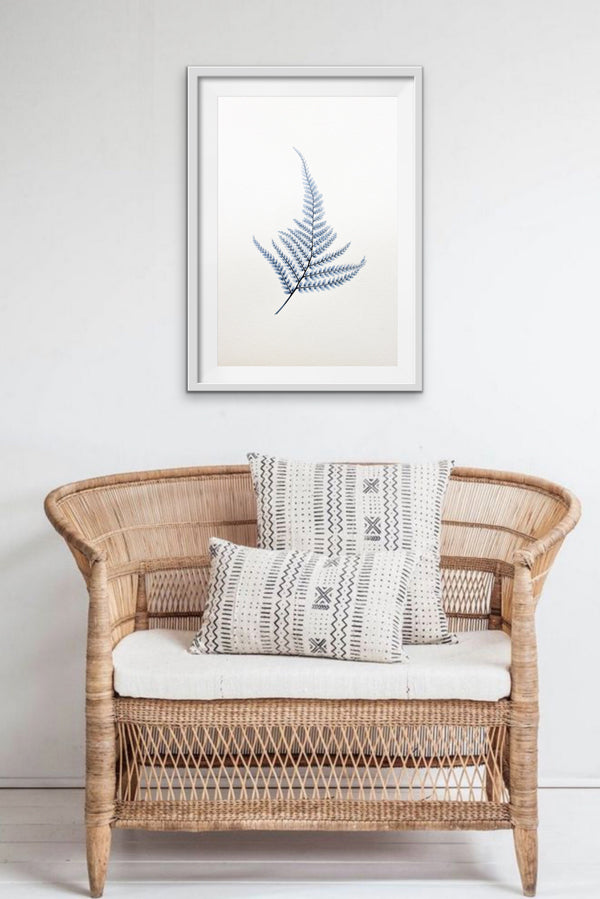 Maiden Hair Fern