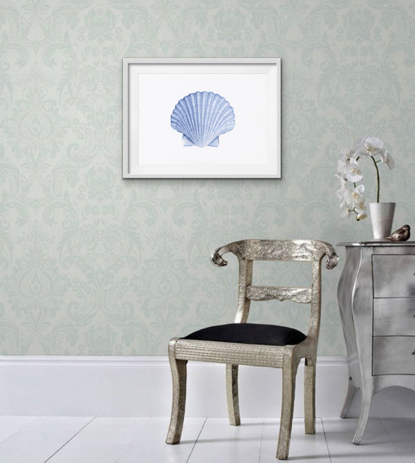 Scallop Shell