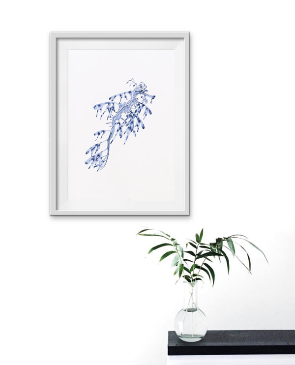 Weedy Seadragon