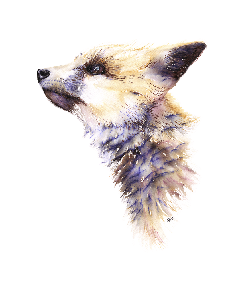Fox Cub Print