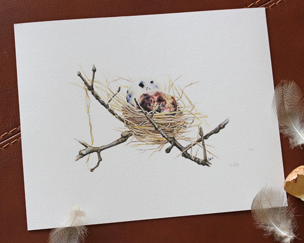 Nest for Two Print