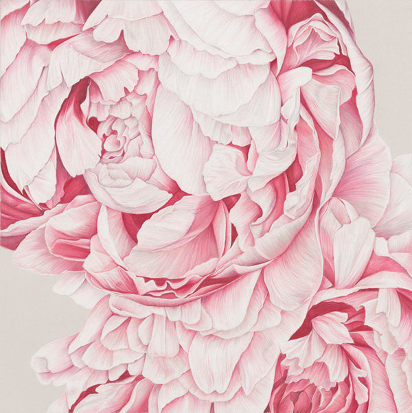 Peony Cluster No. 2 Print