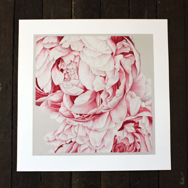 Peony Cluster No. 2 Print