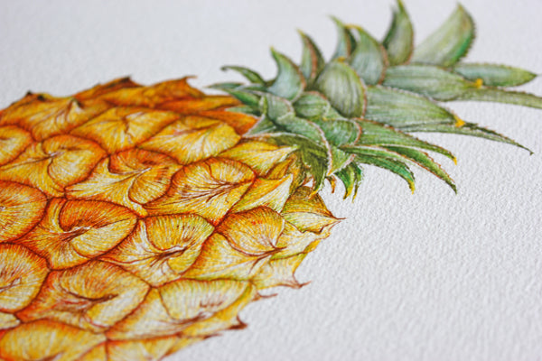 Pineapple Print