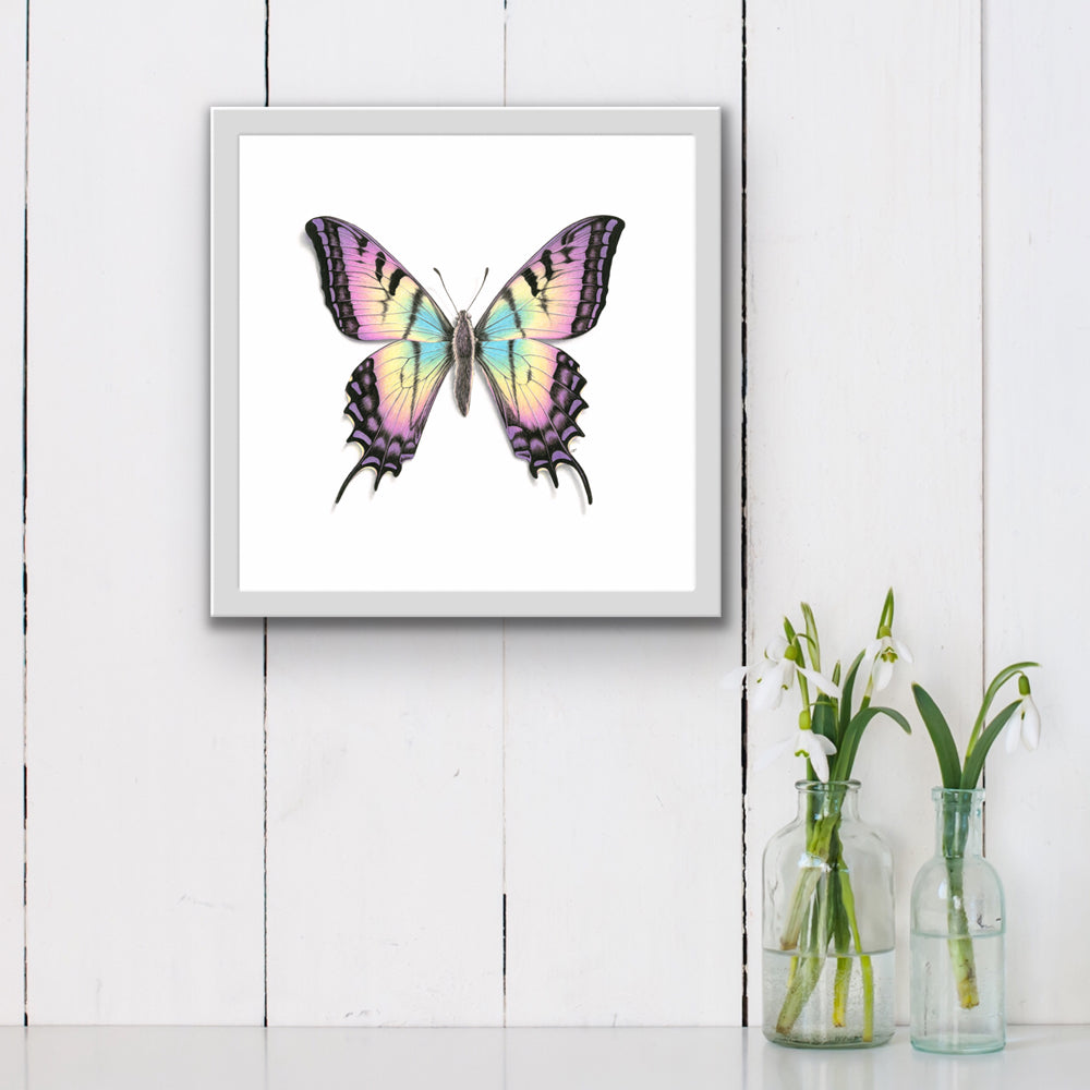 Rainbow Butterfly Print