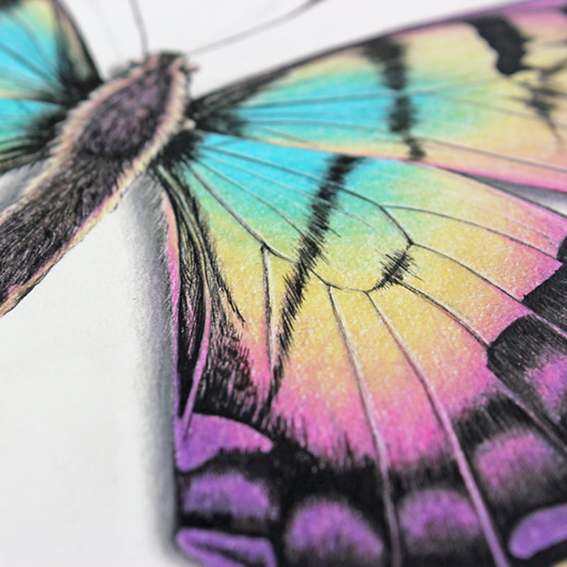 Rainbow Butterfly Print