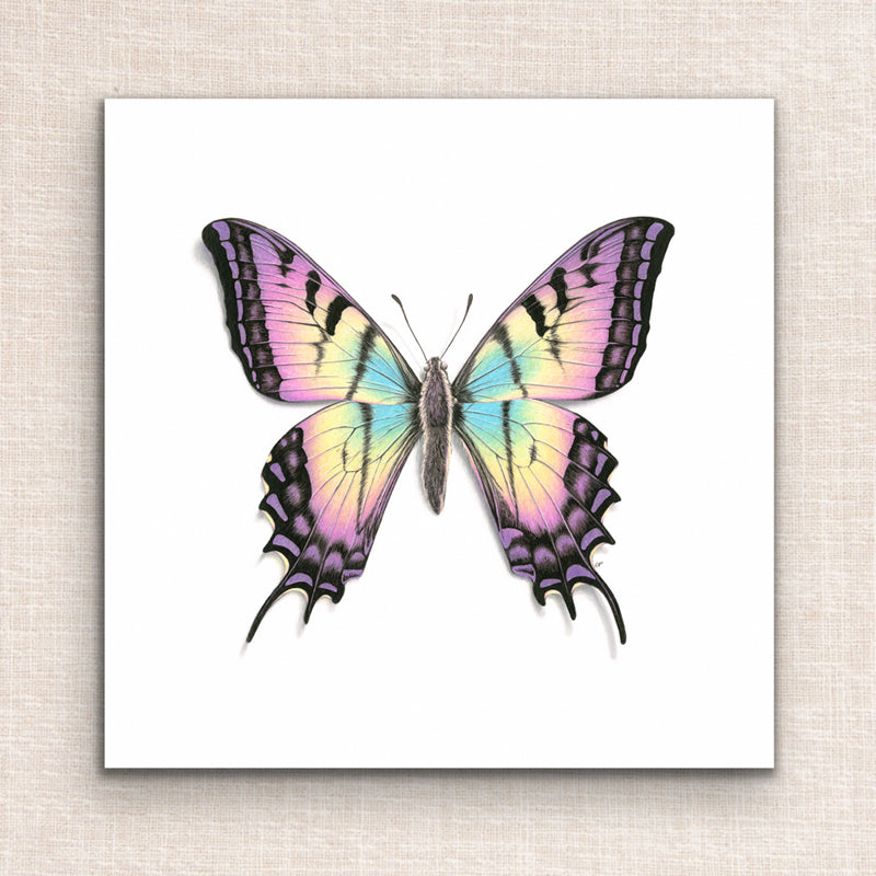 Rainbow Butterfly Print