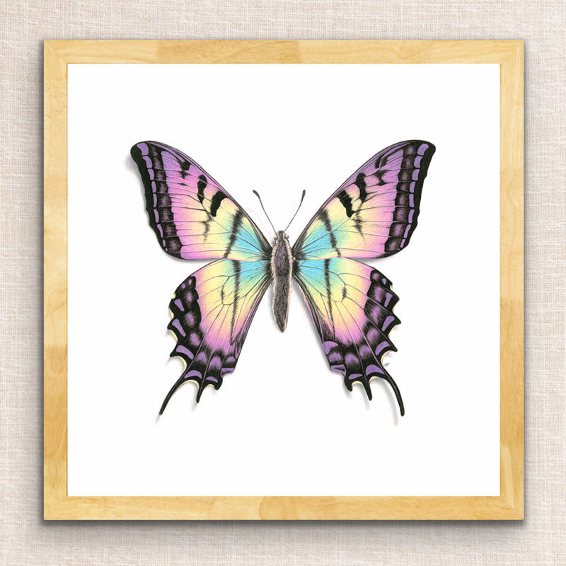 Rainbow Butterfly Print
