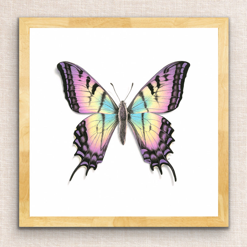 Rainbow Butterfly Print