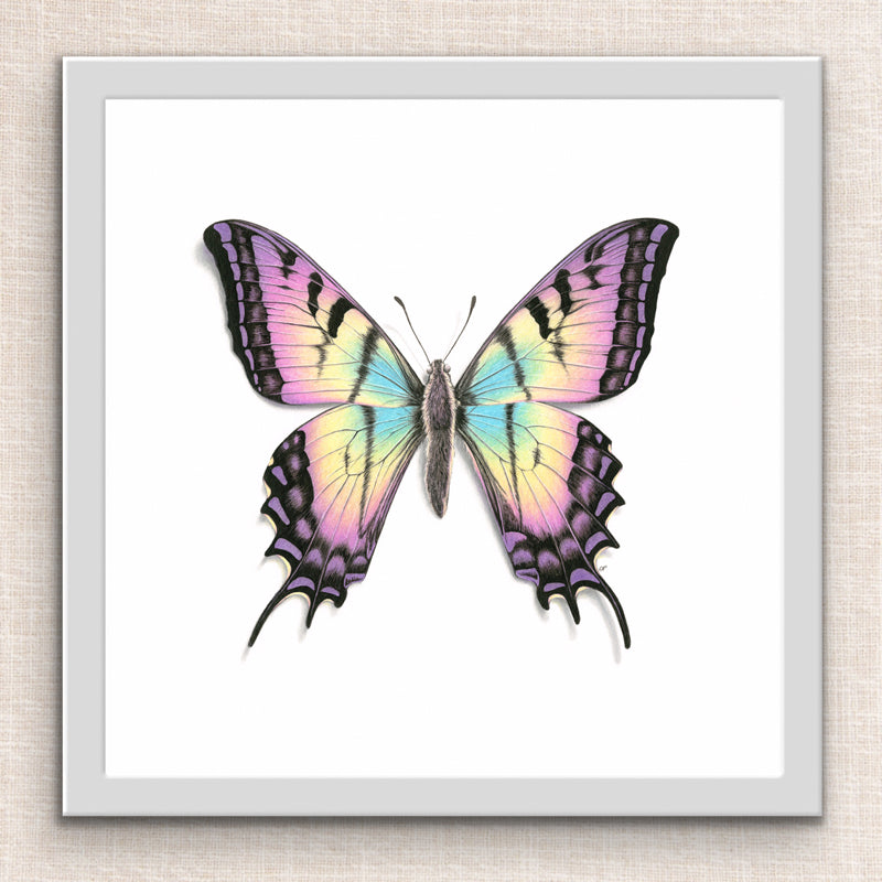 Rainbow Butterfly Print