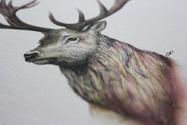 Stag Print